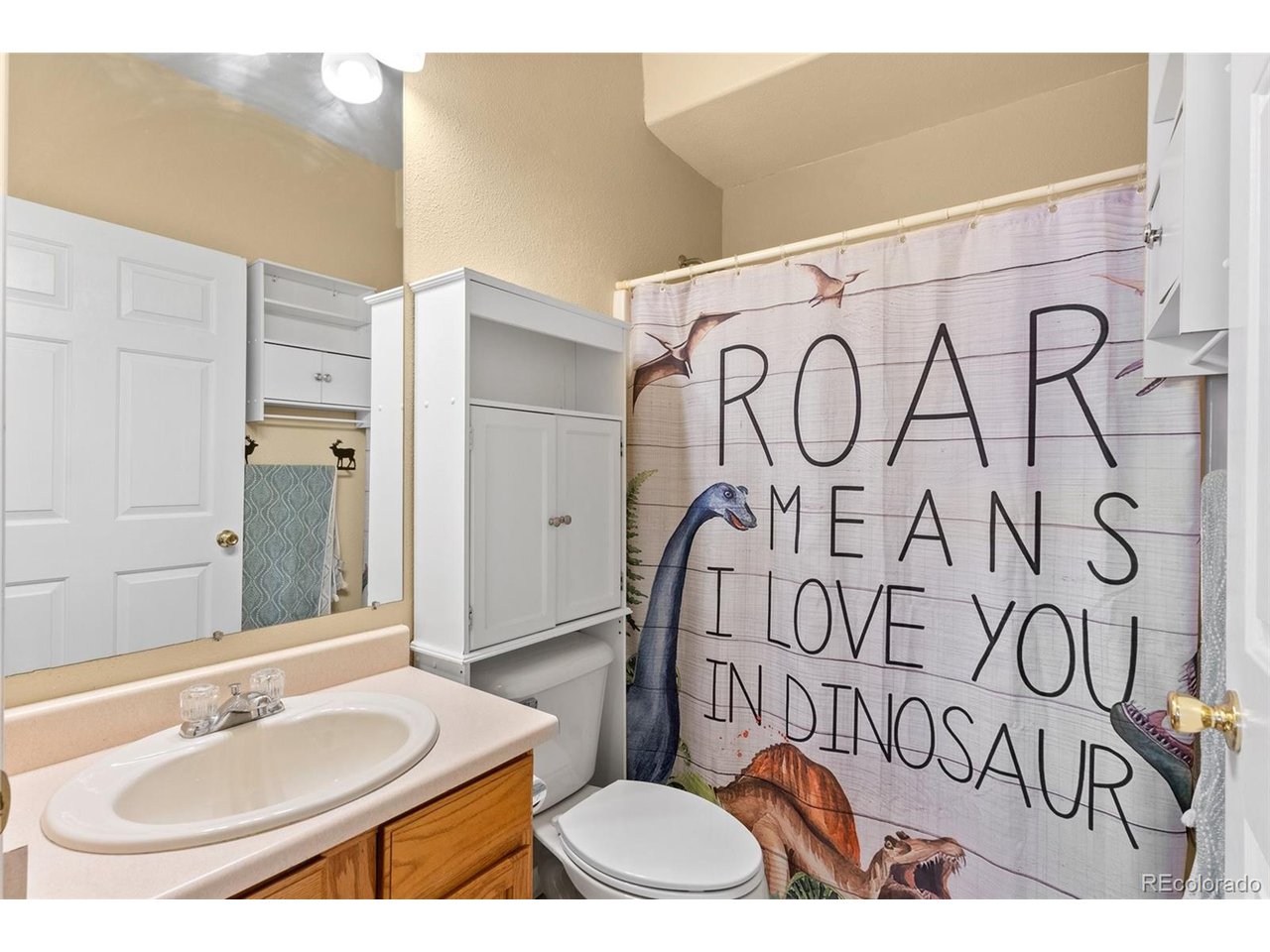 5720 Co Road, Unit 101A Bailey, CO 80421 - Photo 16 of 46 Full bathroom with shower/tub combo