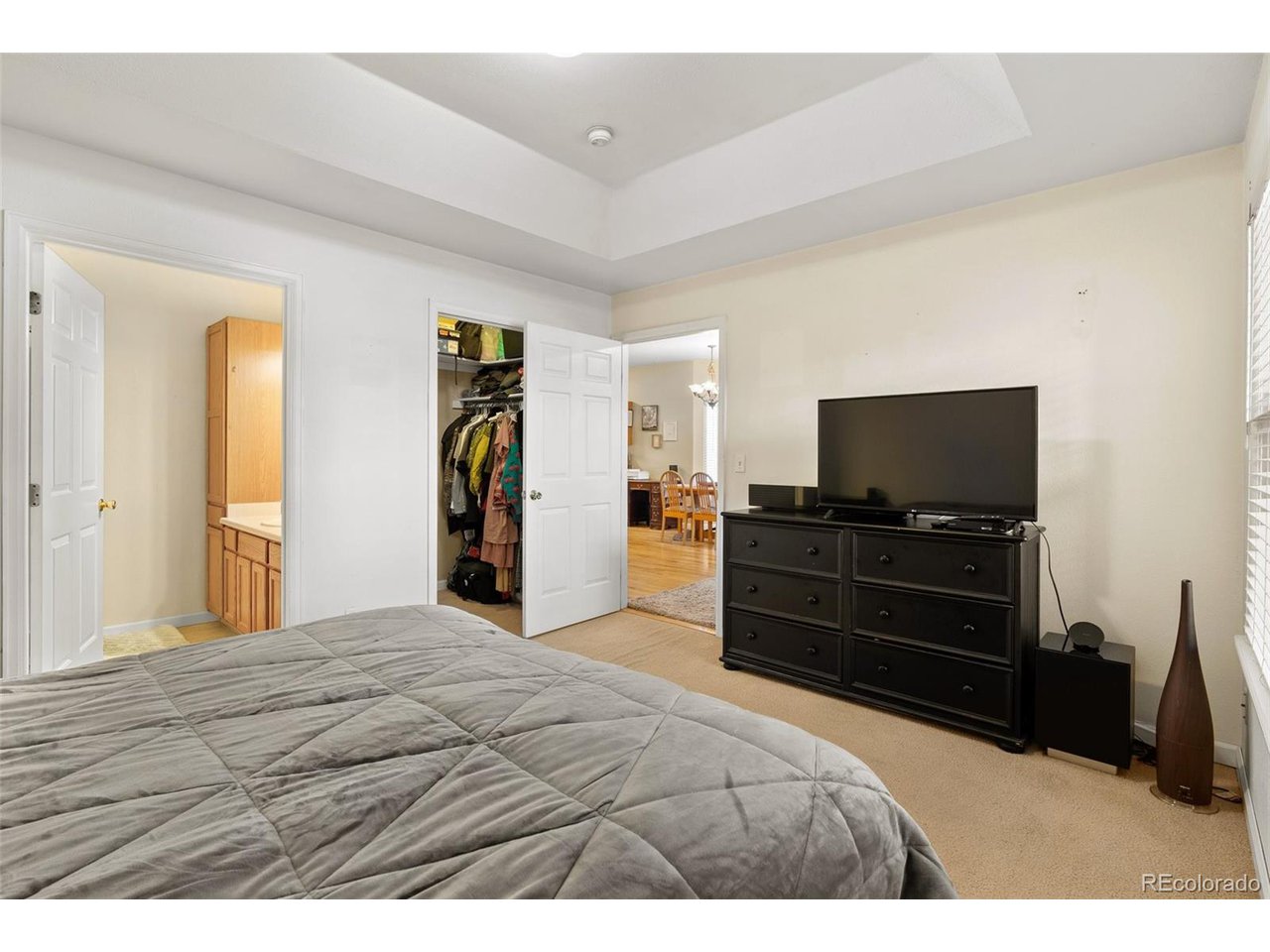 5720 Co Road, Unit 101A Bailey, CO 80421 - Photo 18 of 46 Primary bedroom with ensuite and 2 closets