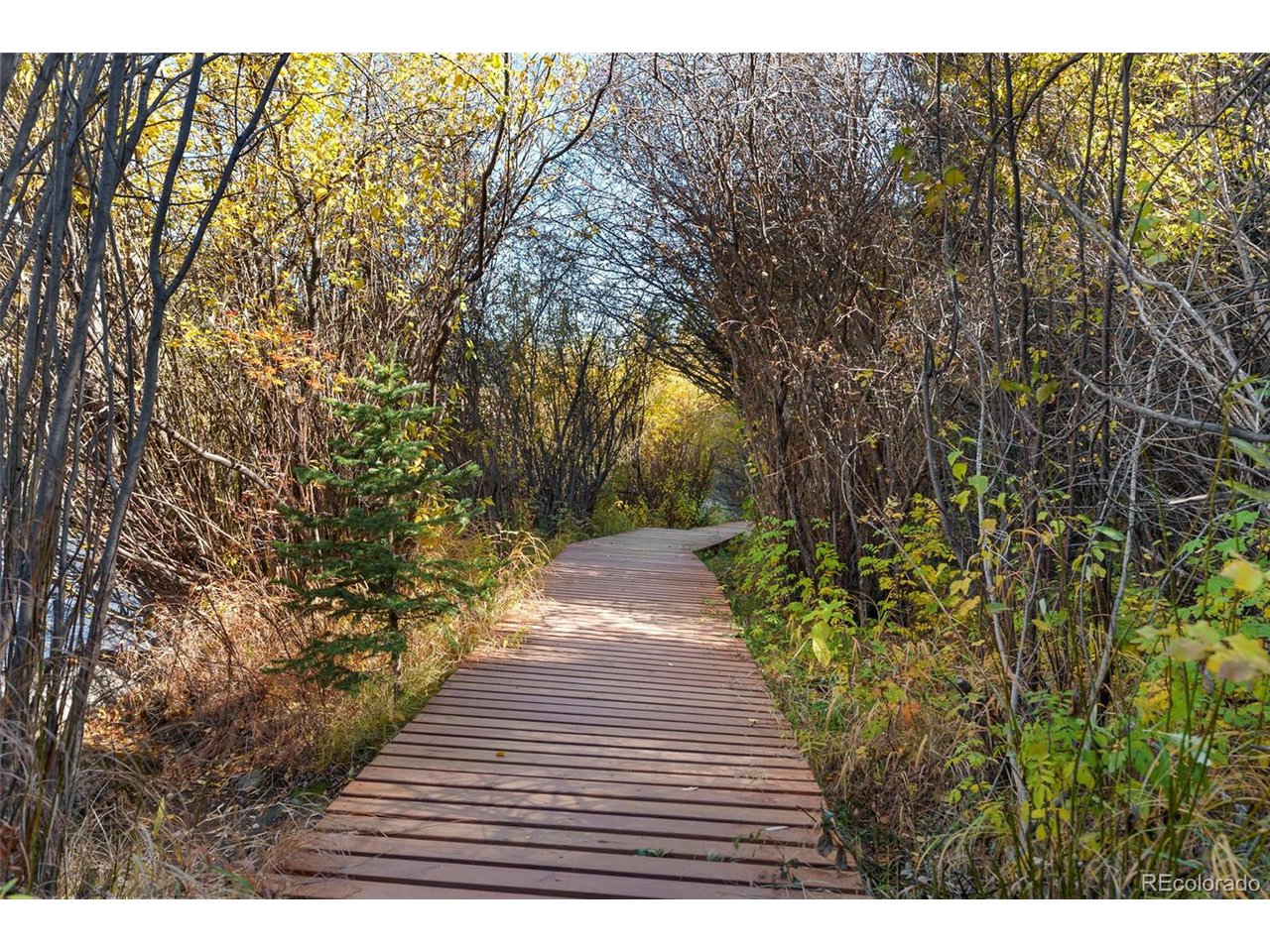 5720 Co Road, Unit 101A Bailey, CO 80421 - Photo 42 of 46 McGraw Memorial Park