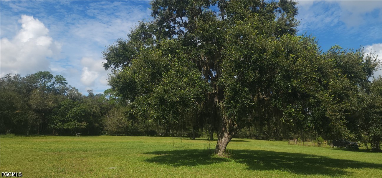 4634 Loblolly Bay Road Southwest LaBelle, FL 33935 - Photo 6 of 6 Gallery Image 6