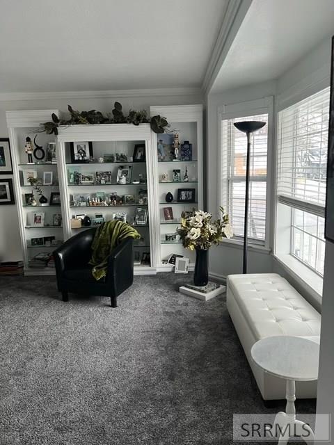 2202 Ivan Avenue Pocatello, ID 83201 - Photo 7 of 26