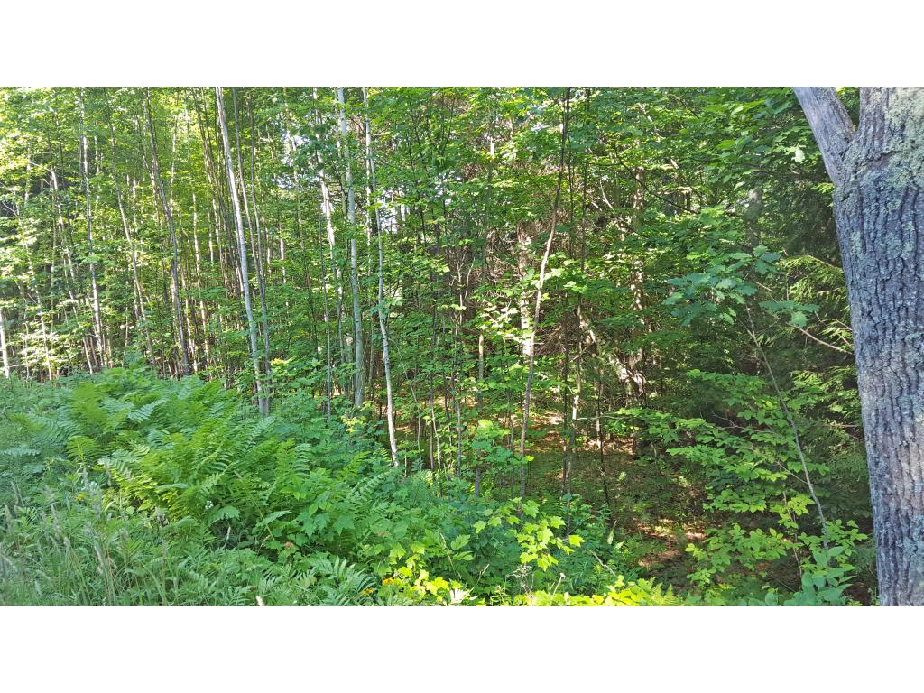 0 Norris Road Orford, NH 03777 - Photo 1 of 2 Gallery Image 1