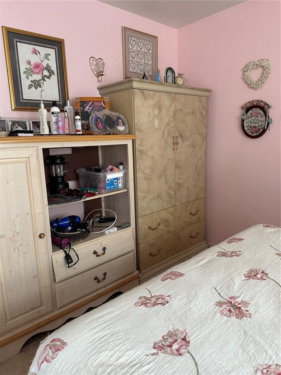 1427 Amy Circle Spring Hill, FL 34606 - Photo 20 of 23