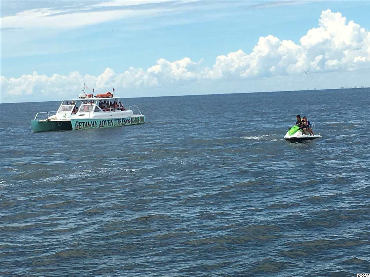 136 Glengrove Lane Murrells Inlet, SC 29576 - Photo 30 of 40