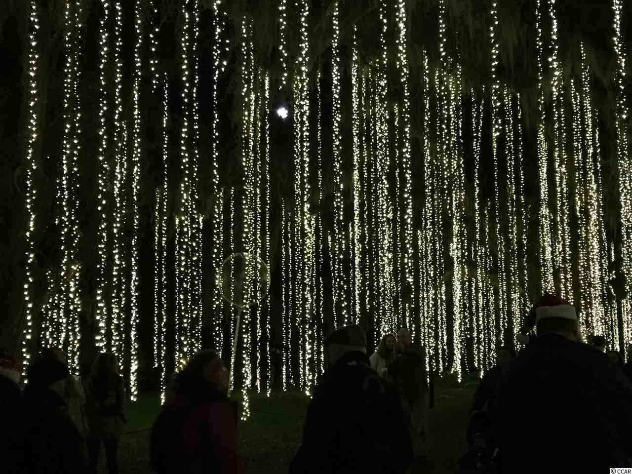 136 Glengrove Lane Murrells Inlet, SC 29576 - Photo 39 of 40