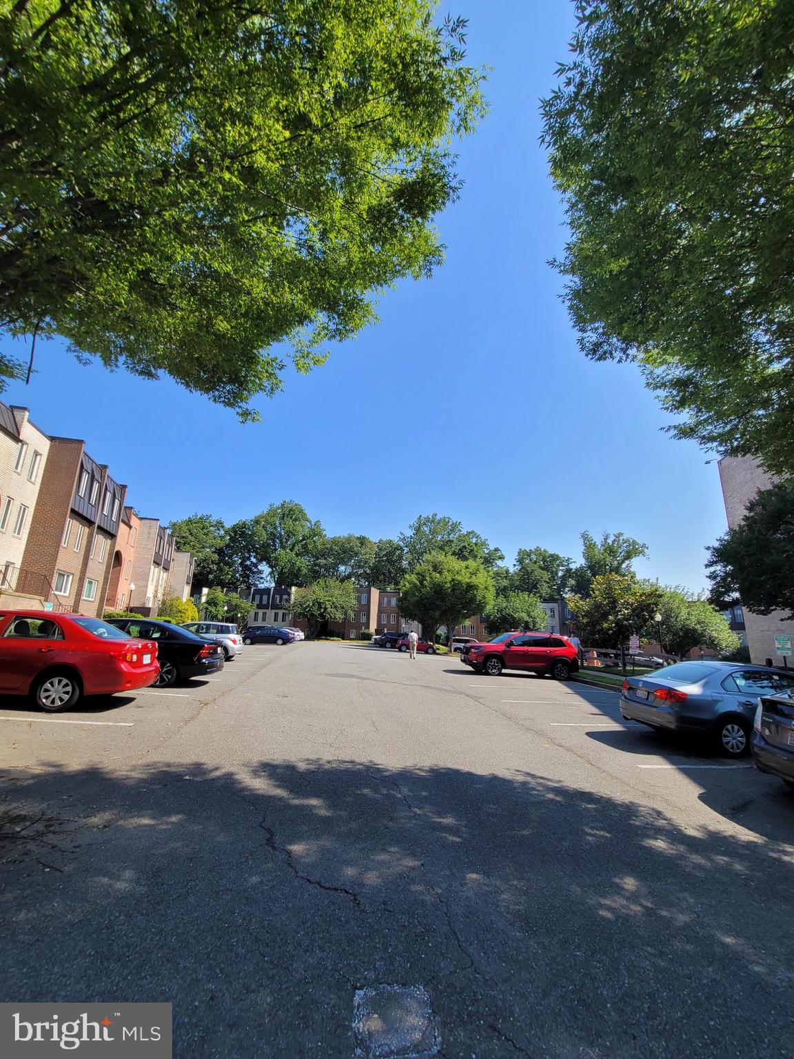 5049 7th Road South, Unit 201 Arlington, VA 22204 - Photo 35 of 45 a view of street with parked cars