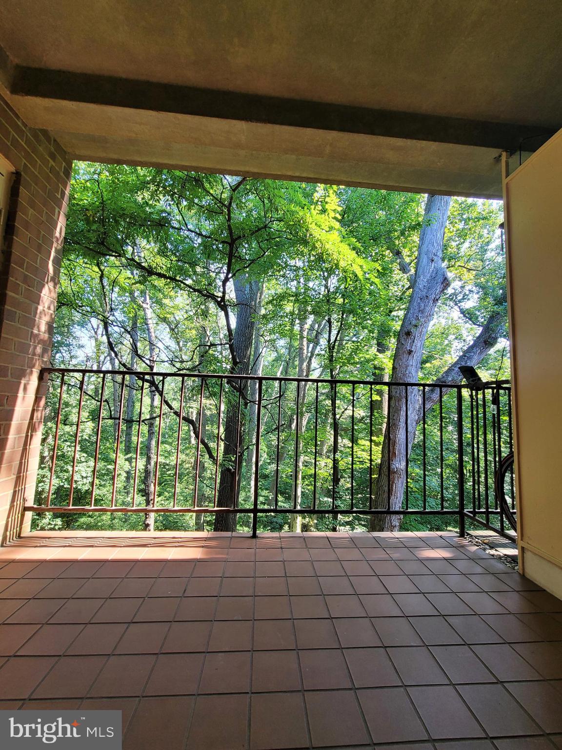 5049 7th Road South, Unit 201 Arlington, VA 22204 - Photo 5 of 45 a view of porch and patio