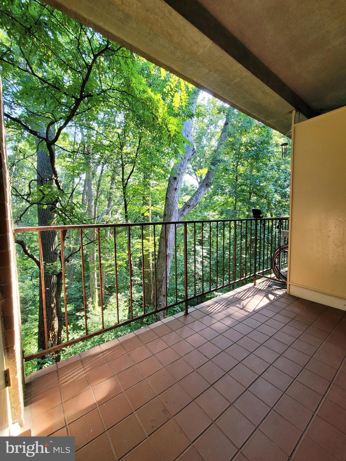5049 7th Road South, Unit 201 Arlington, VA 22204 - Photo 6 of 45 a view of backyard with large trees and wooden fence