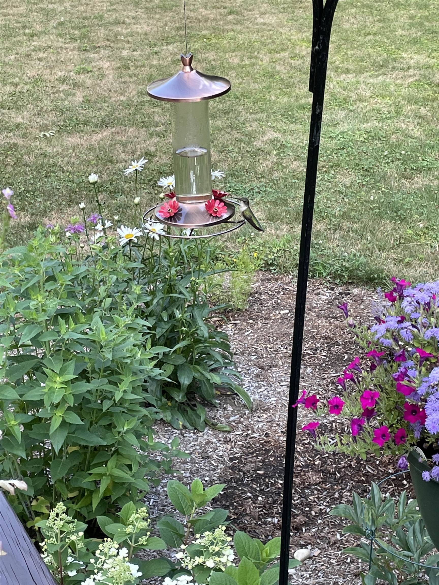 358 Cowdrey Path Woodstock, VT 05071 - Photo 27 of 32