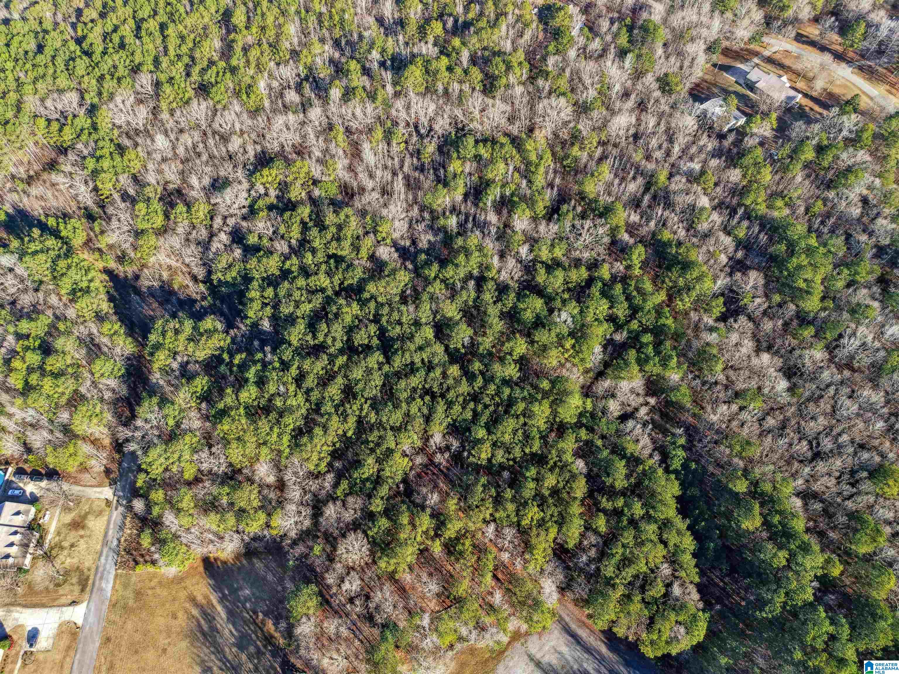 0 Branch Cove, Unit PHASE 2 Odenville, AL 35120 - Photo 23 of 32