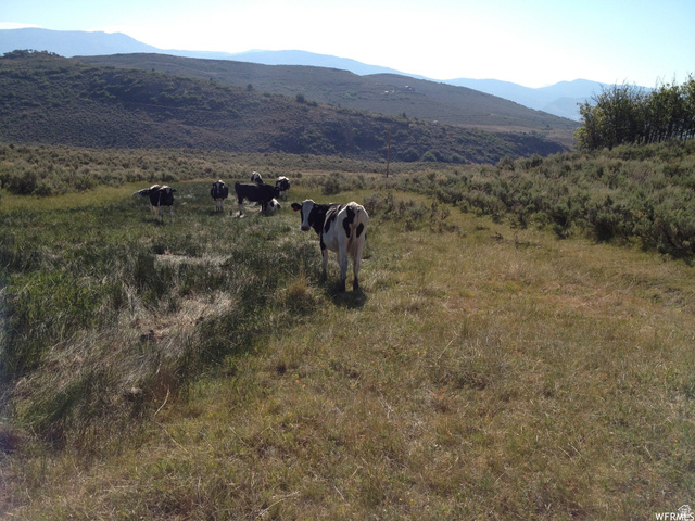 60 Corral Road, Unit 60 Kamas, UT 84036 - Photo 3 of 11 View of mountain backdrop