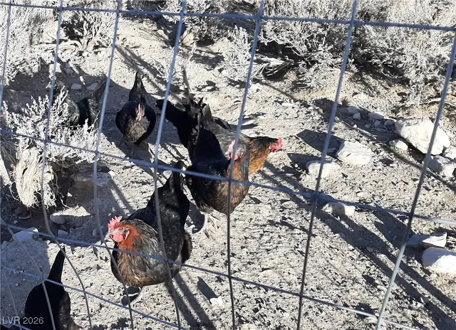 $389,000 | 1062 West 328th North Street, Ely, NV 89301