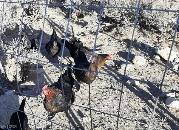 $389,000 | 1062 West 328th North Street, Ely, NV 89301