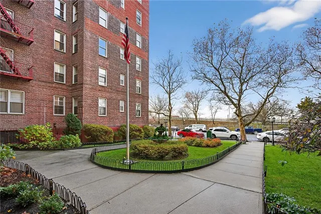 a view of a garden with plants