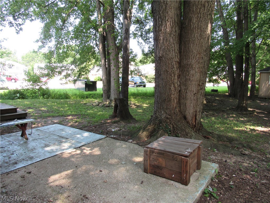 48-50 Hurst Road Painesville, OH 44077 - Photo 34 of 34 Rear yard view from Unit #48