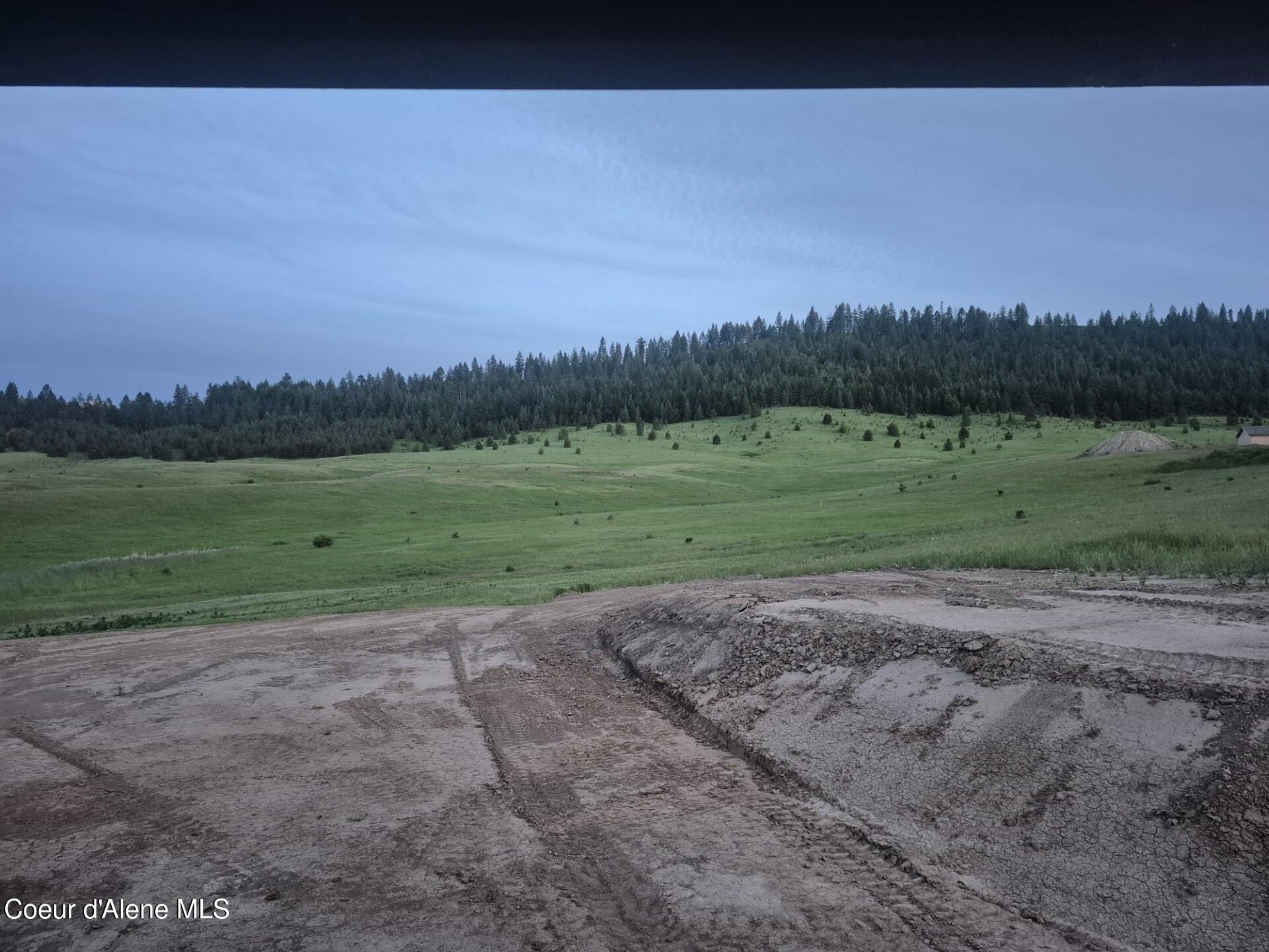 1047 Merideth Road Plummer, ID 83851 - Photo 53 of 56 Backyard View