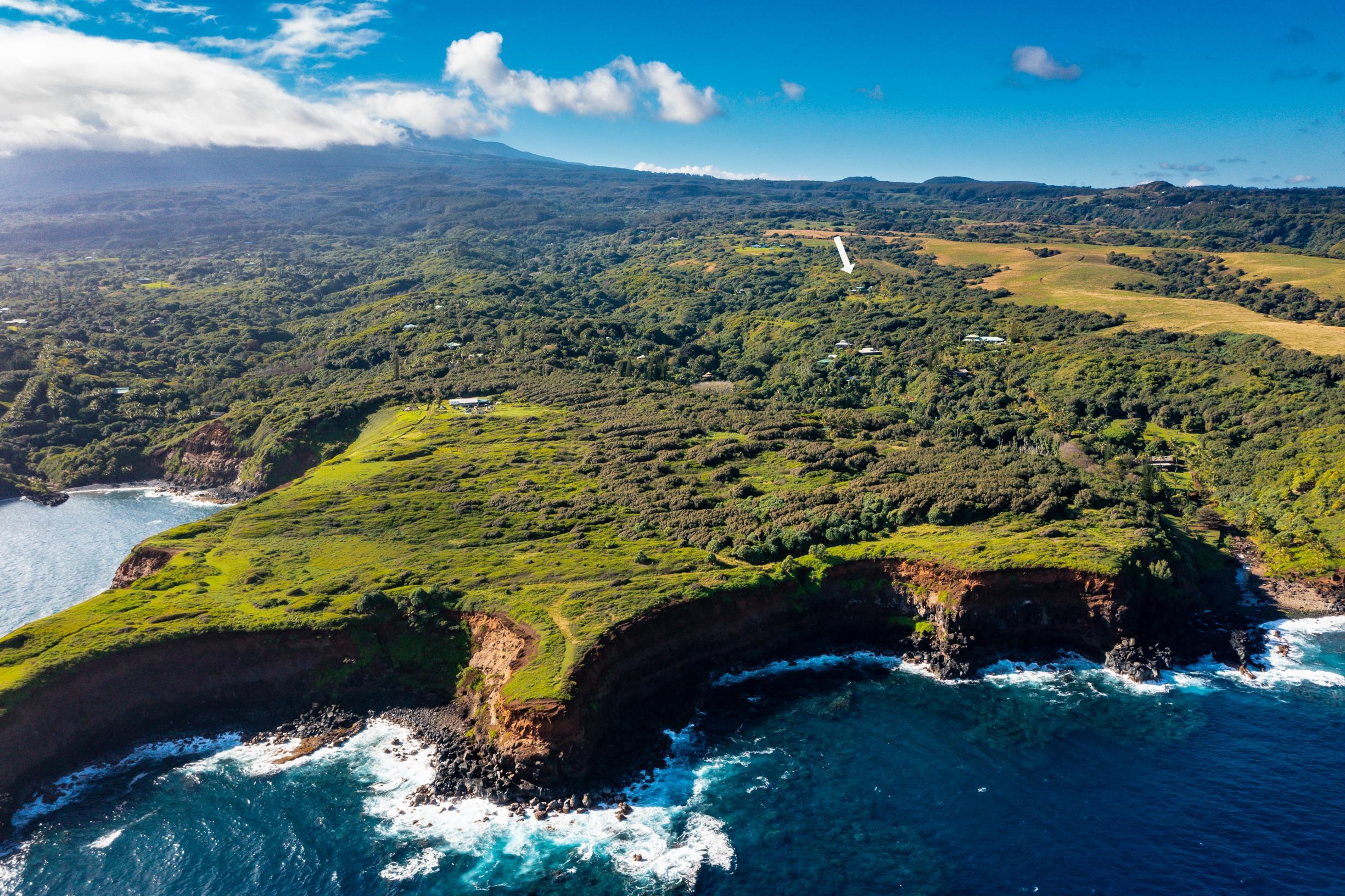 480 Puniawa Road Haiku, HI 96708 - Photo 2 of 30 a view of a pathway with a lake