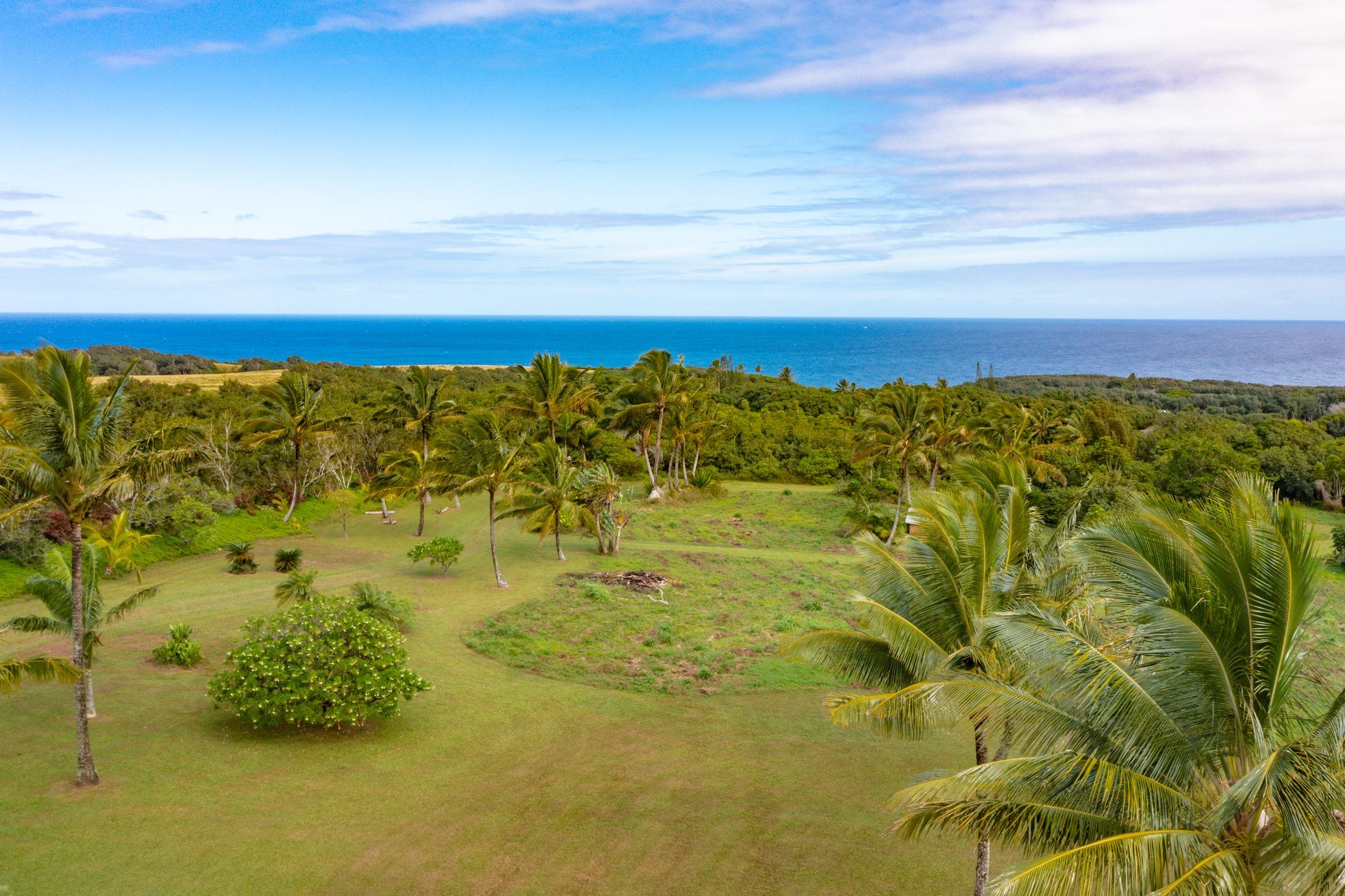 480 Puniawa Road Haiku, HI 96708 - Photo 29 of 30 a view of an ocean