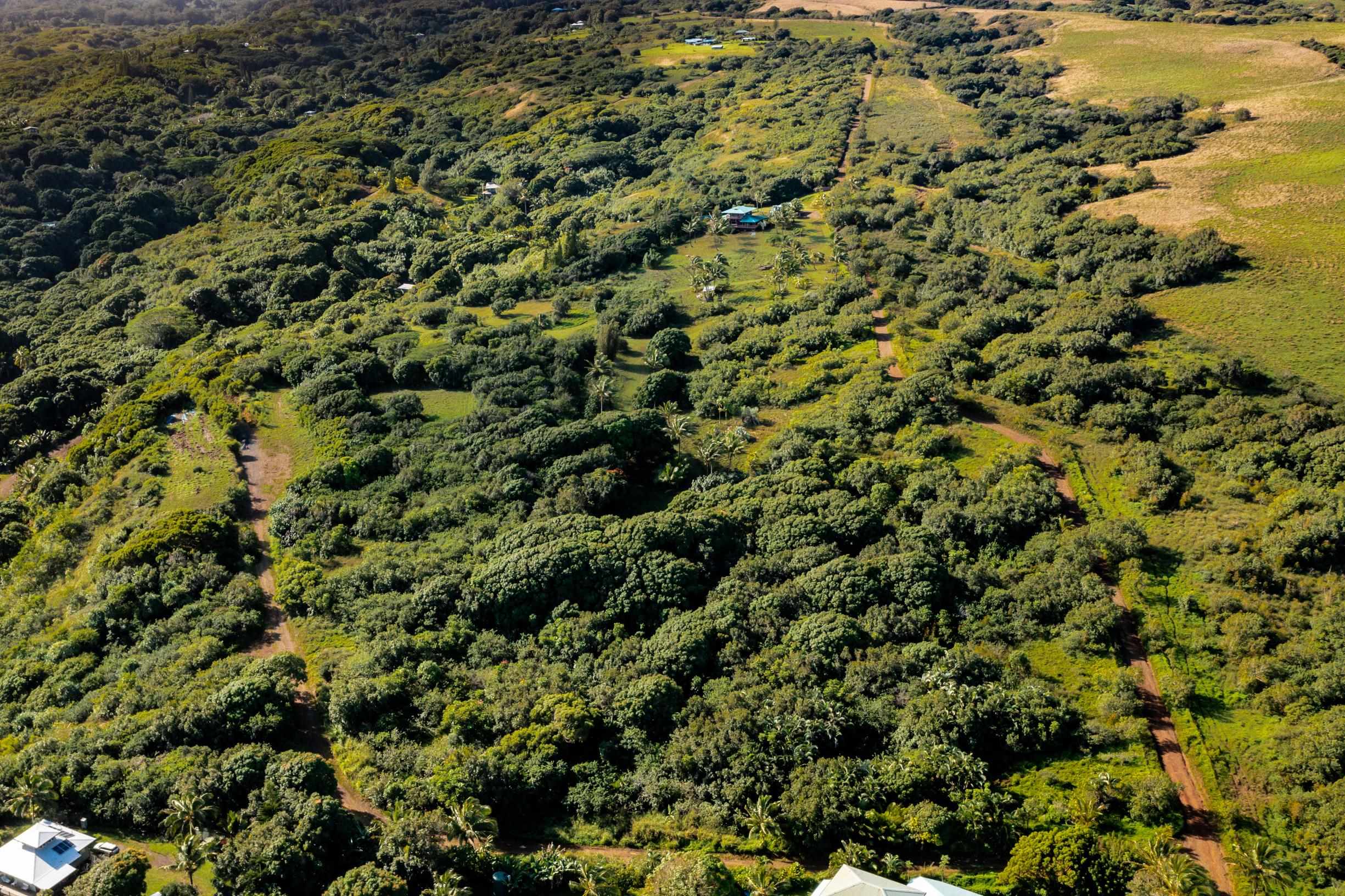 480 Puniawa Road Haiku, HI 96708 - Photo 3 of 30