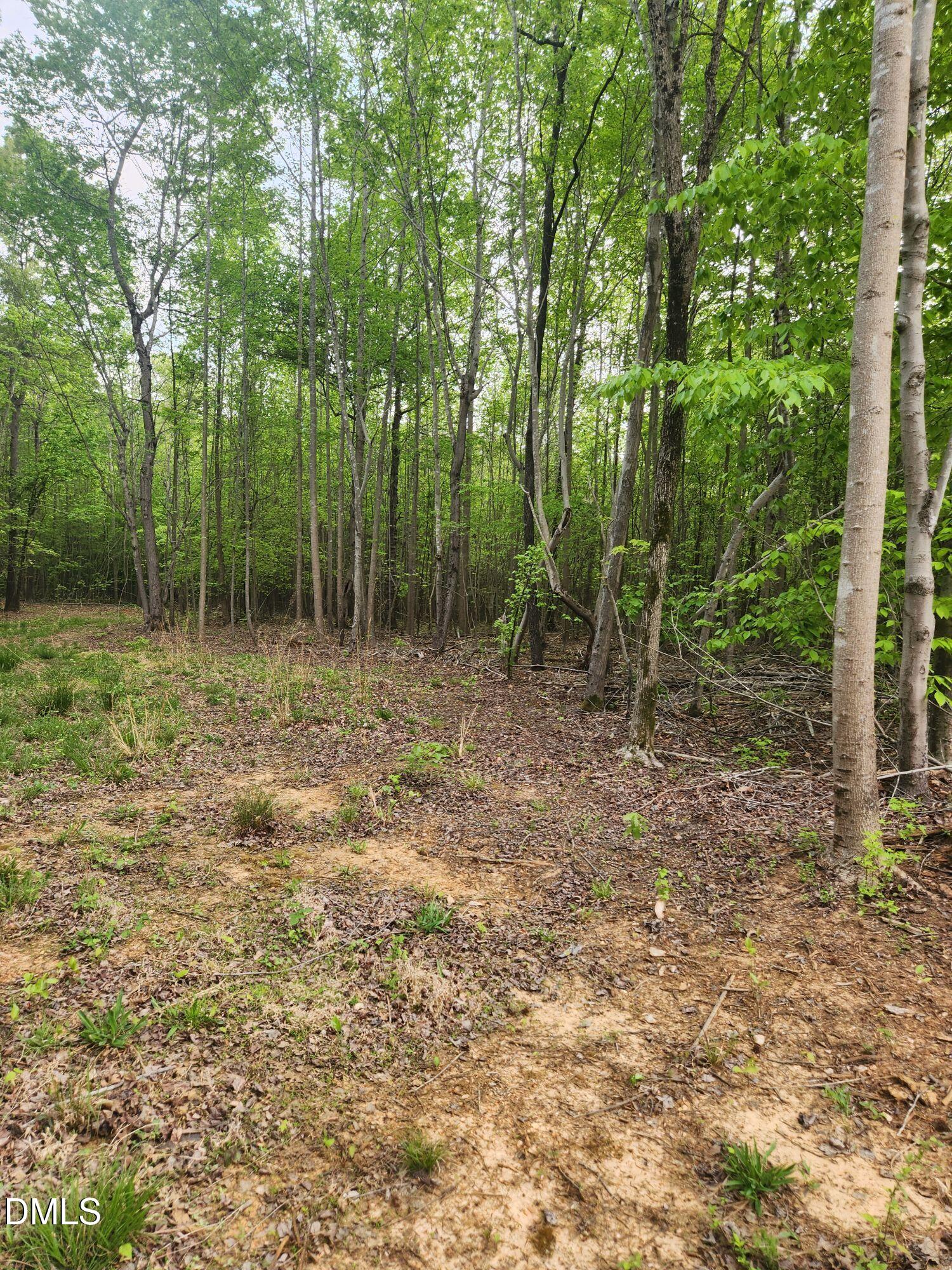 205 North Gibson Road Mebane, NC 27302 - Photo 2 of 5 n gibson 2