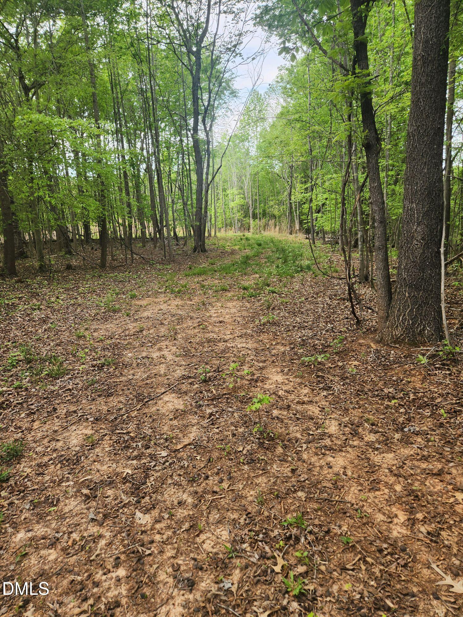 205 North Gibson Road Mebane, NC 27302 - Photo 5 of 5 n gibson 5