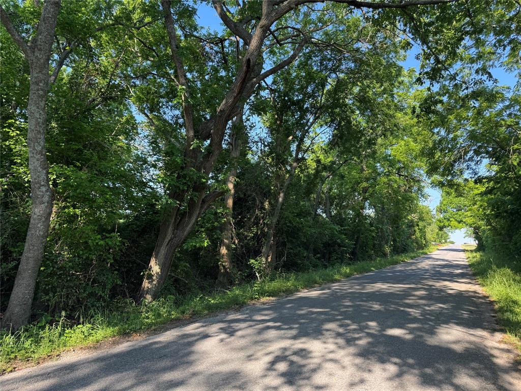 Tbd Ball Road Whitewright, TX 75491 - Photo 6 of 18 Paved road bordered by abundant mature trees and natural vegetation