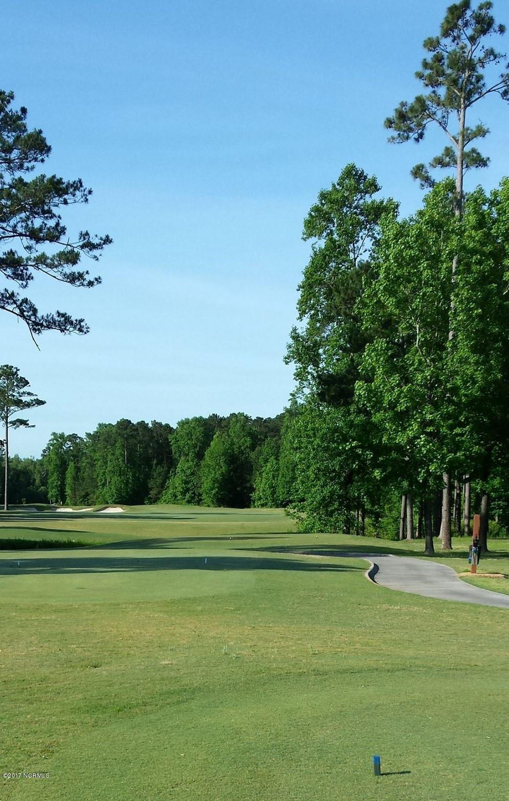 101 Friburg Road New Bern, NC 28562 - Photo 54 of 64 Taberna Golf