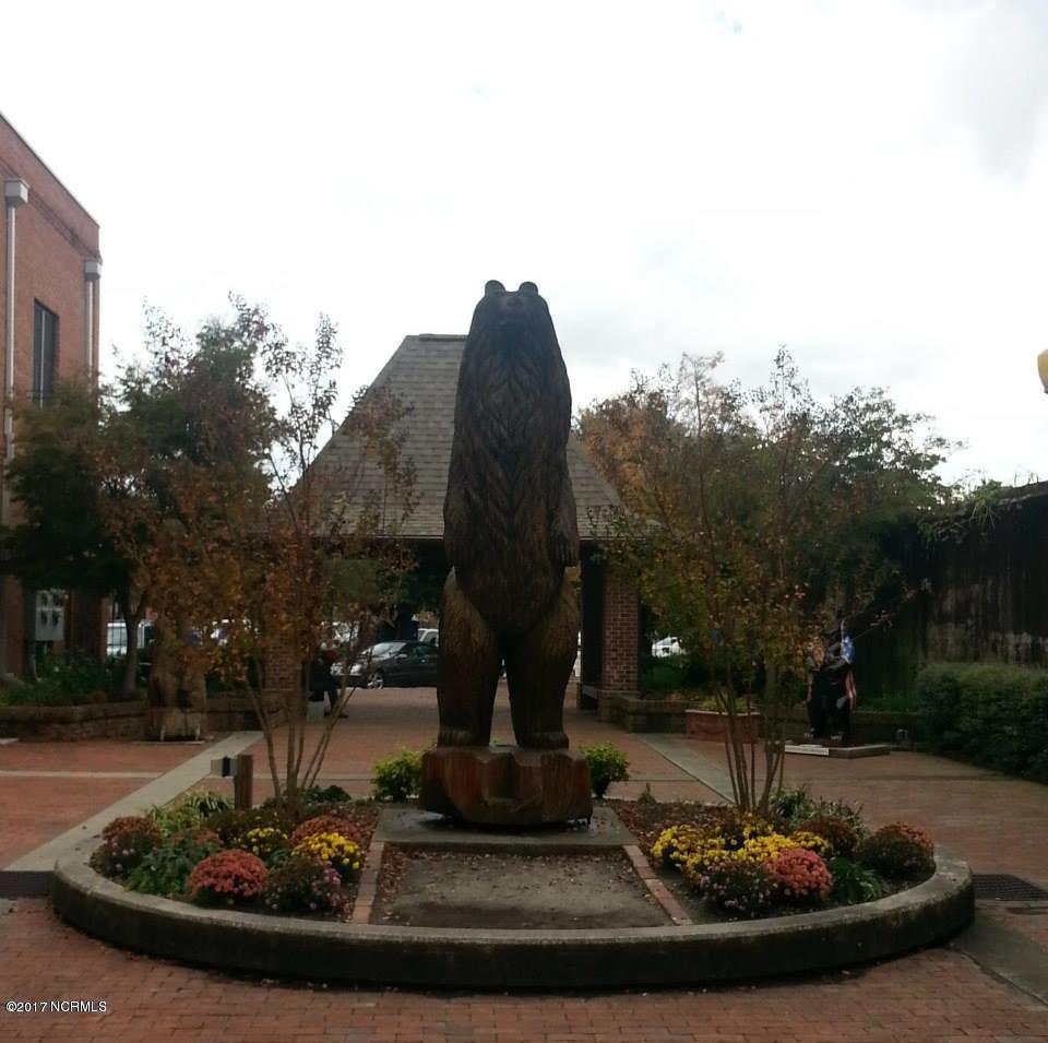 101 Friburg Road New Bern, NC 28562 - Photo 55 of 64 Bear Plaza Downtown New Bern