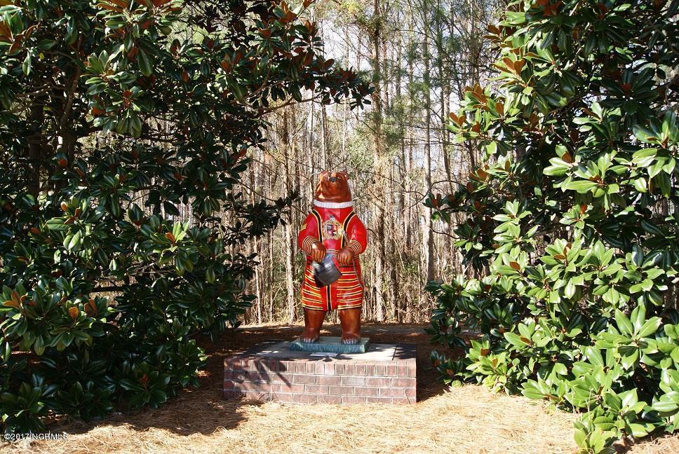 101 Friburg Road New Bern, NC 28562 - Photo 64 of 64 Taberna Bear