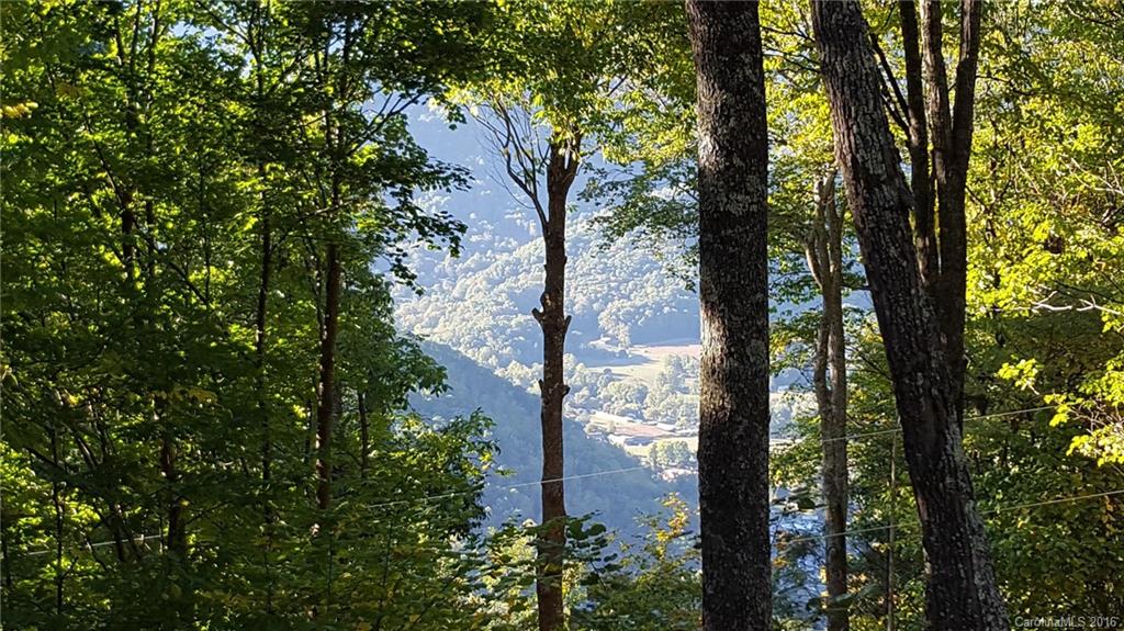 82 Hawk Nest Road Maggie Valley, NC 28751 - Photo 6 of 24 Gallery Image 6