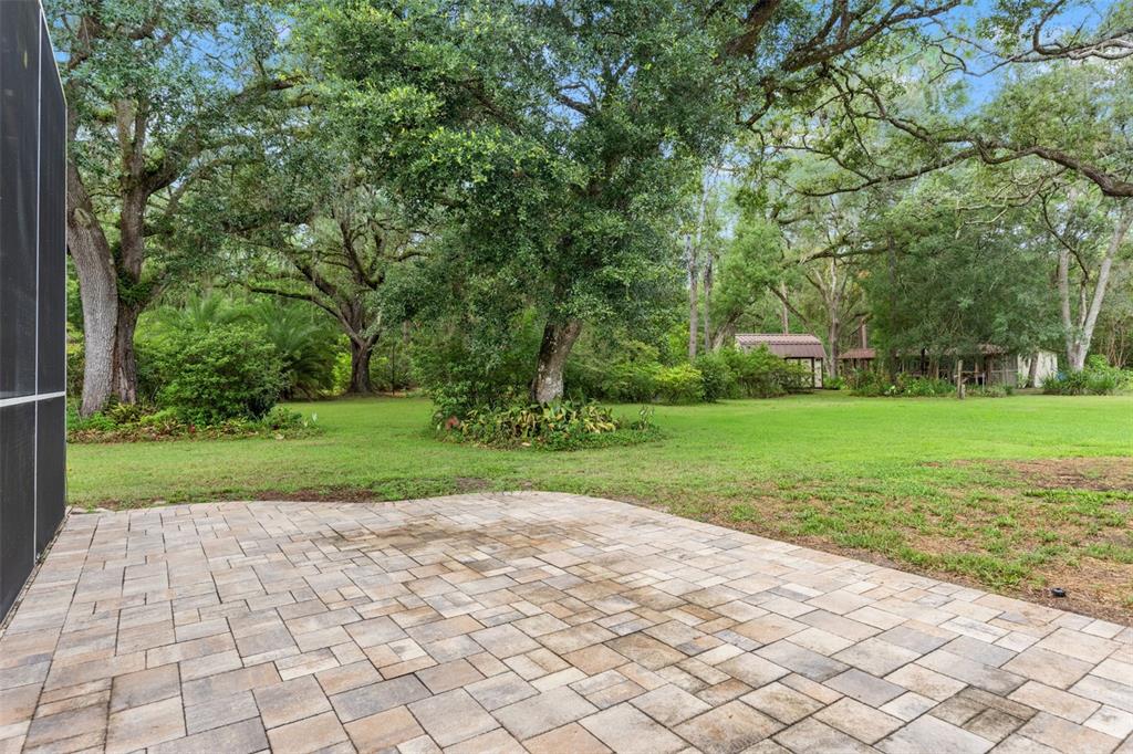 17163 Benes Roush Road Brooksville, FL 34604 - Photo 50 of 75 Gallery Image 50
