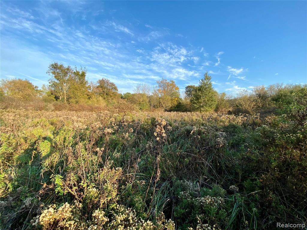 0 Kalmbach Road Grass Lake, MI 49240 - Photo 25 of 30