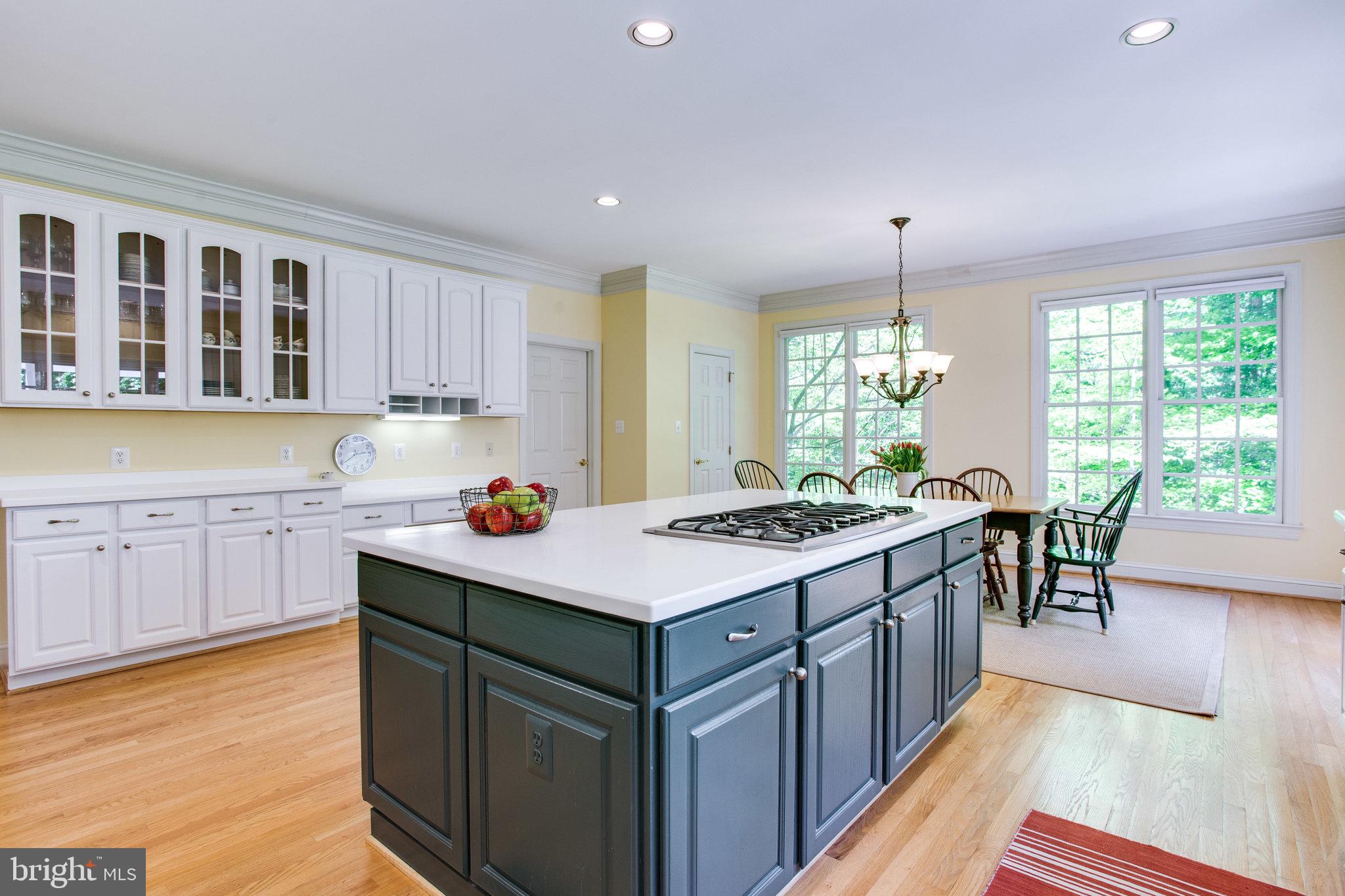 147 Yarnick Road Great Falls, VA 22066 - Photo 11 of 41 Bright and Sunny Space