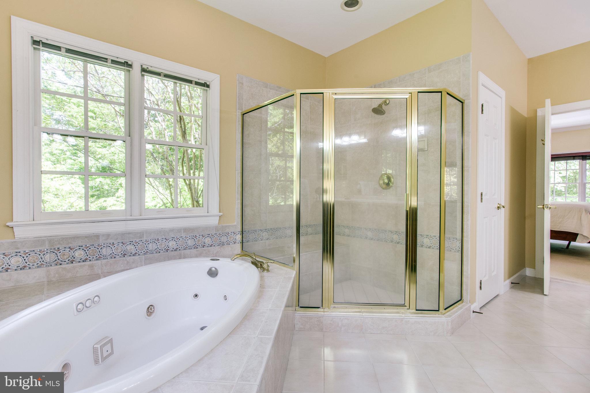 147 Yarnick Road Great Falls, VA 22066 - Photo 26 of 41 Jet tub and Large shower