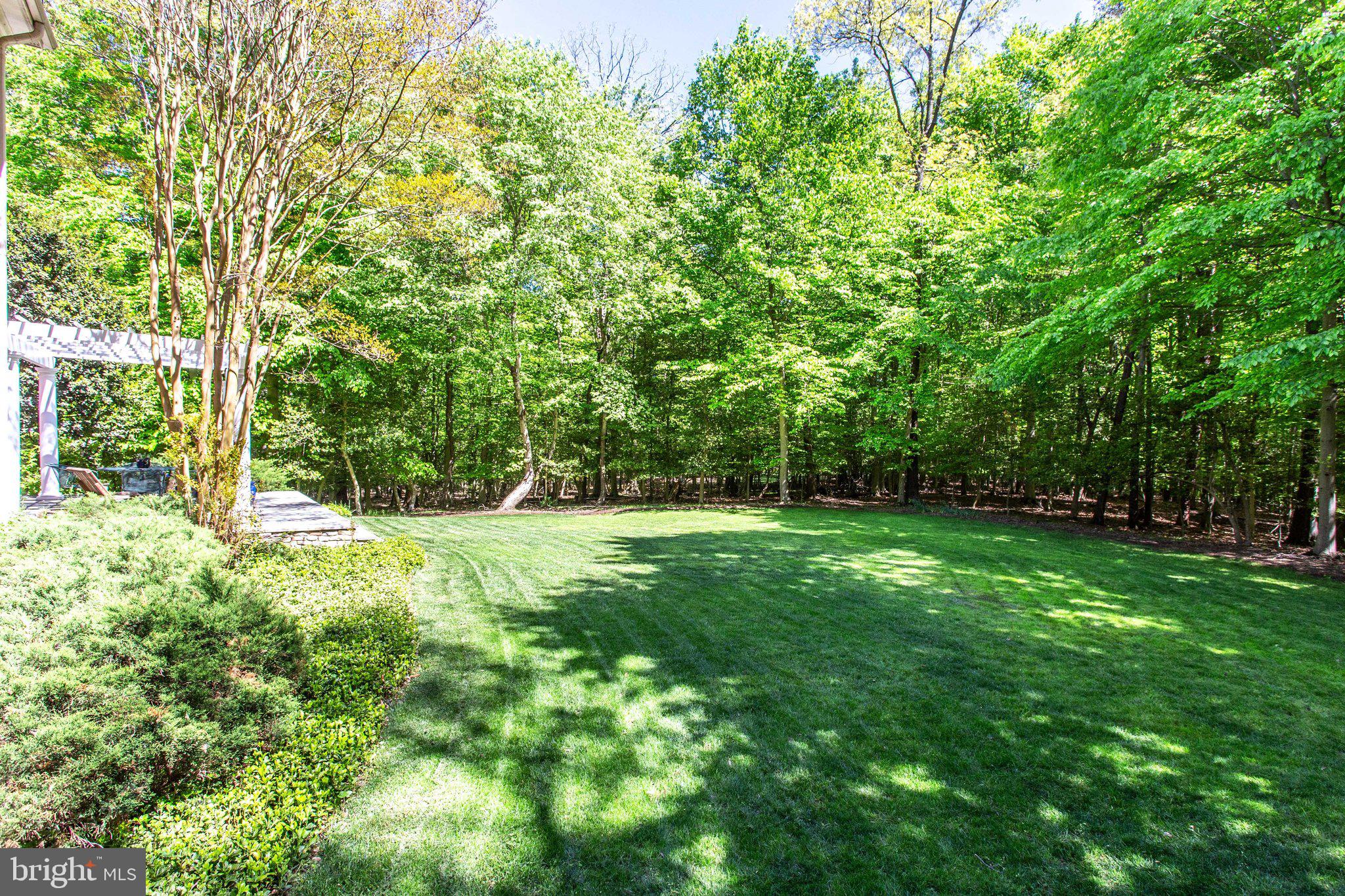 147 Yarnick Road Great Falls, VA 22066 - Photo 38 of 41 Sprawling yard