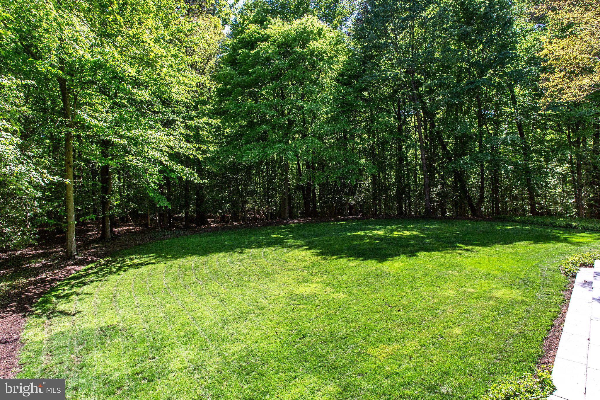 147 Yarnick Road Great Falls, VA 22066 - Photo 39 of 41 Great Space for fun and games