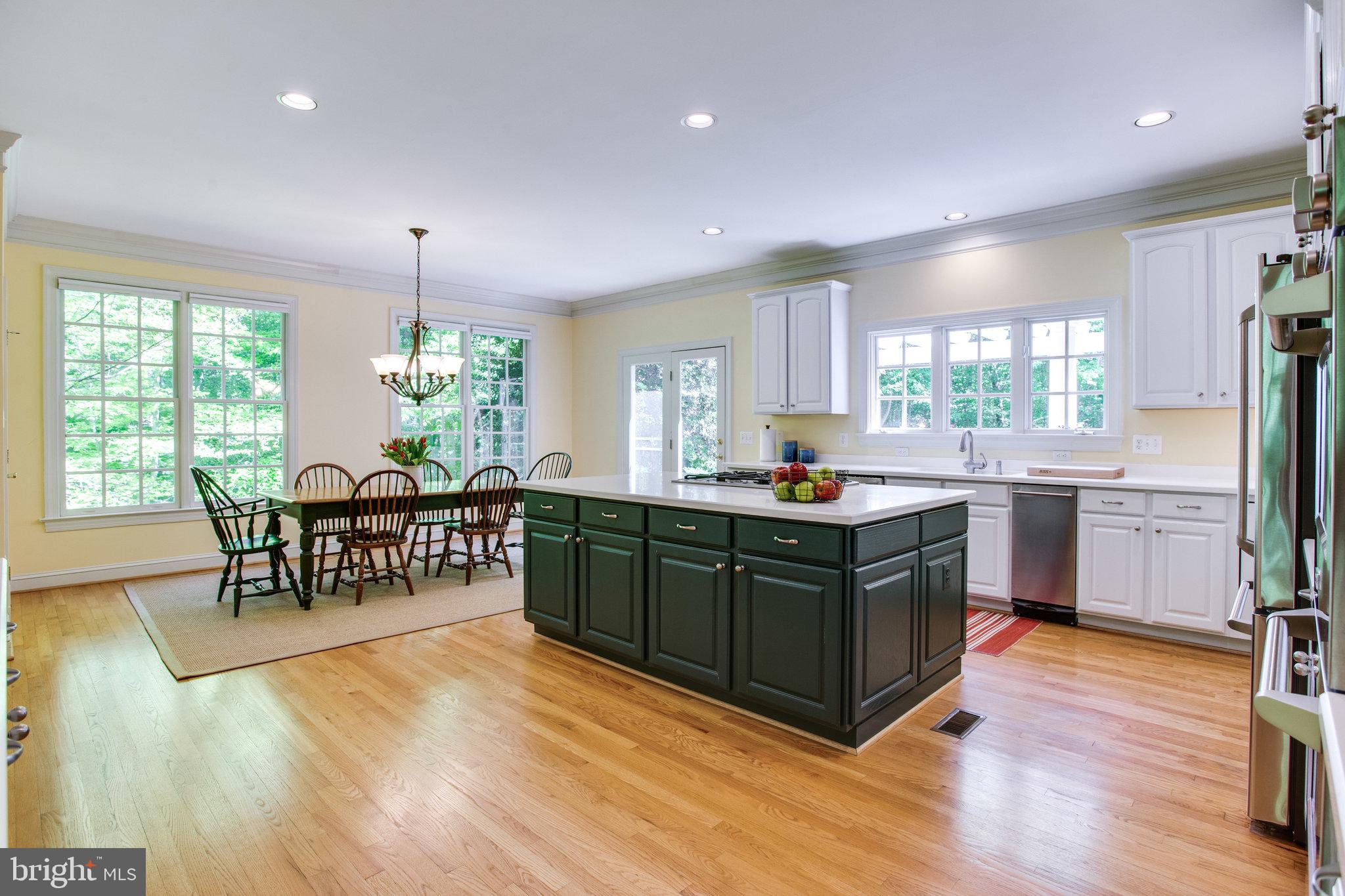 147 Yarnick Road Great Falls, VA 22066 - Photo 8 of 41 Updated Kitchen