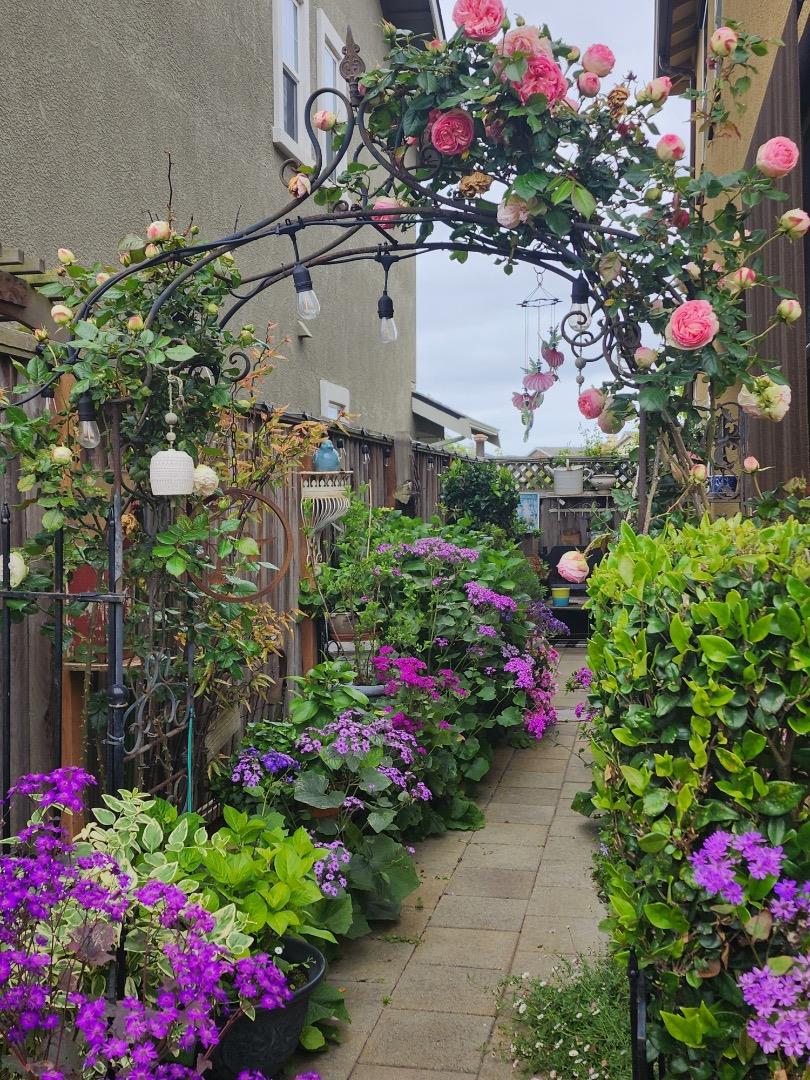 18643 McClellan Circle East Garrison, CA 93933 - Photo 18 of 42 a view of a flower in a yard