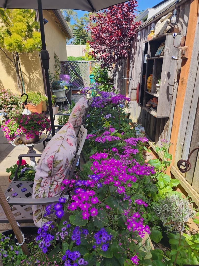 18643 McClellan Circle East Garrison, CA 93933 - Photo 20 of 42 a view of a flower in a yard