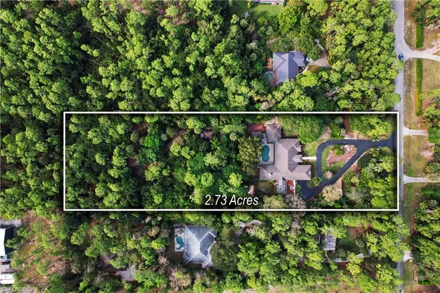 a view of a city and a plant