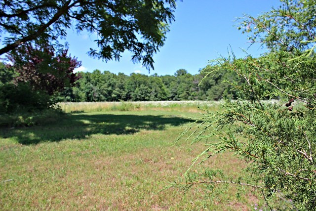3835 Cold Springs Road Greenville, VA 24440 - Photo 10 of 17 a view of lake with green space