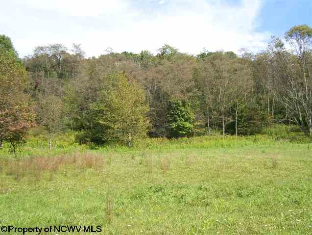 0 Pennington Road Dryfork, WV 26263 - Photo 7 of 10 Gallery Image 7