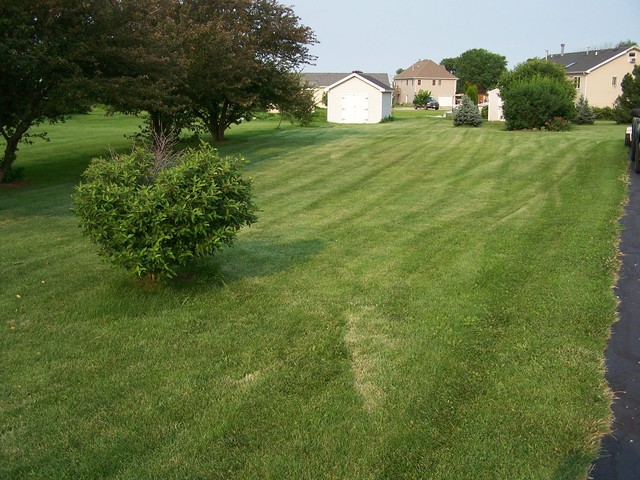 3568 East 28th Road Seneca, IL 61360 - Photo 17 of 19 a view of a backyard