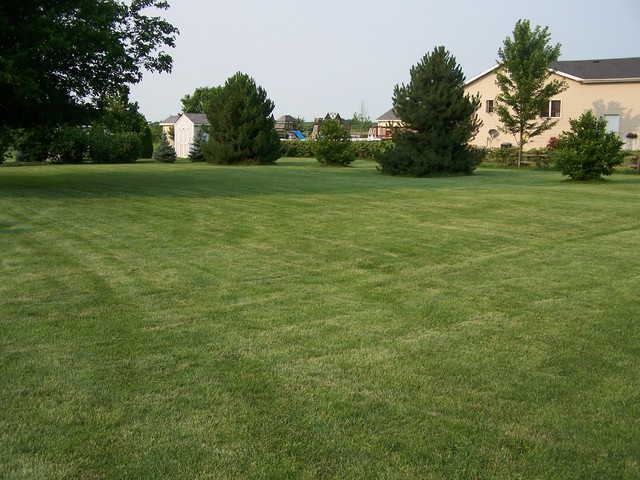 3568 East 28th Road Seneca, IL 61360 - Photo 18 of 19 a view of a field with trees in the background