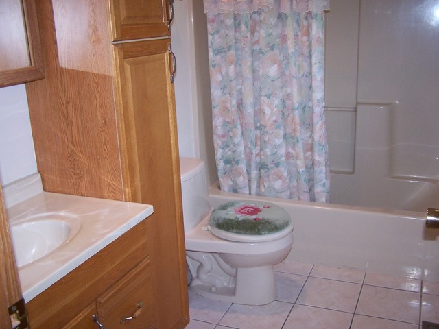 3568 East 28th Road Seneca, IL 61360 - Photo 8 of 19 a bathroom with a sink and toilet