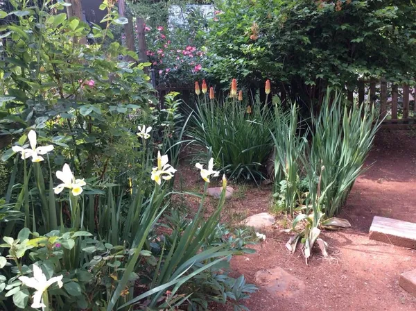 a view of a backyard