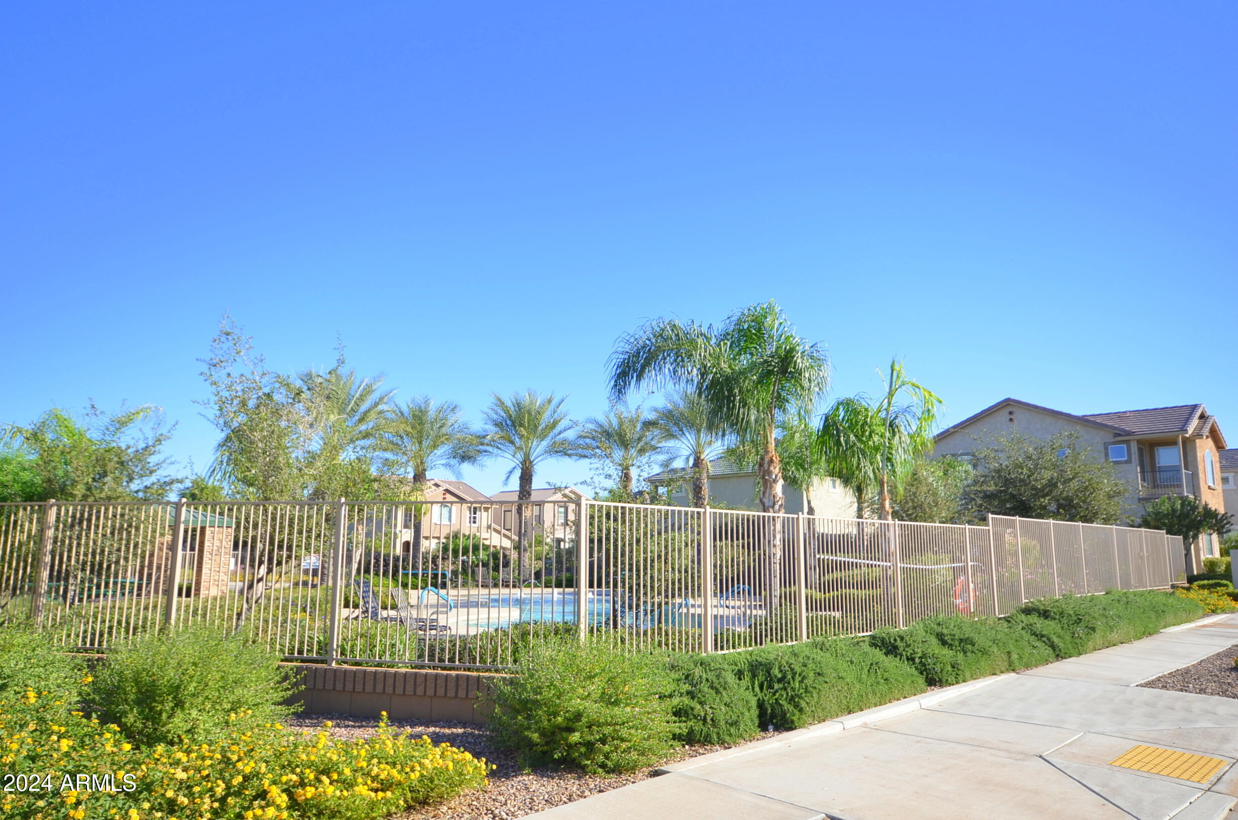 4232 East Tyson Street Gilbert, AZ 85295 - Photo 37 of 38 a view of a backyard with potted plants and palm trees