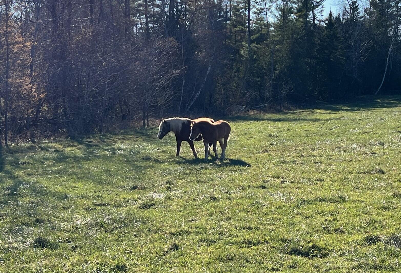 330 Airport Road Dexter, ME 04930 - Photo 41 of 42 41