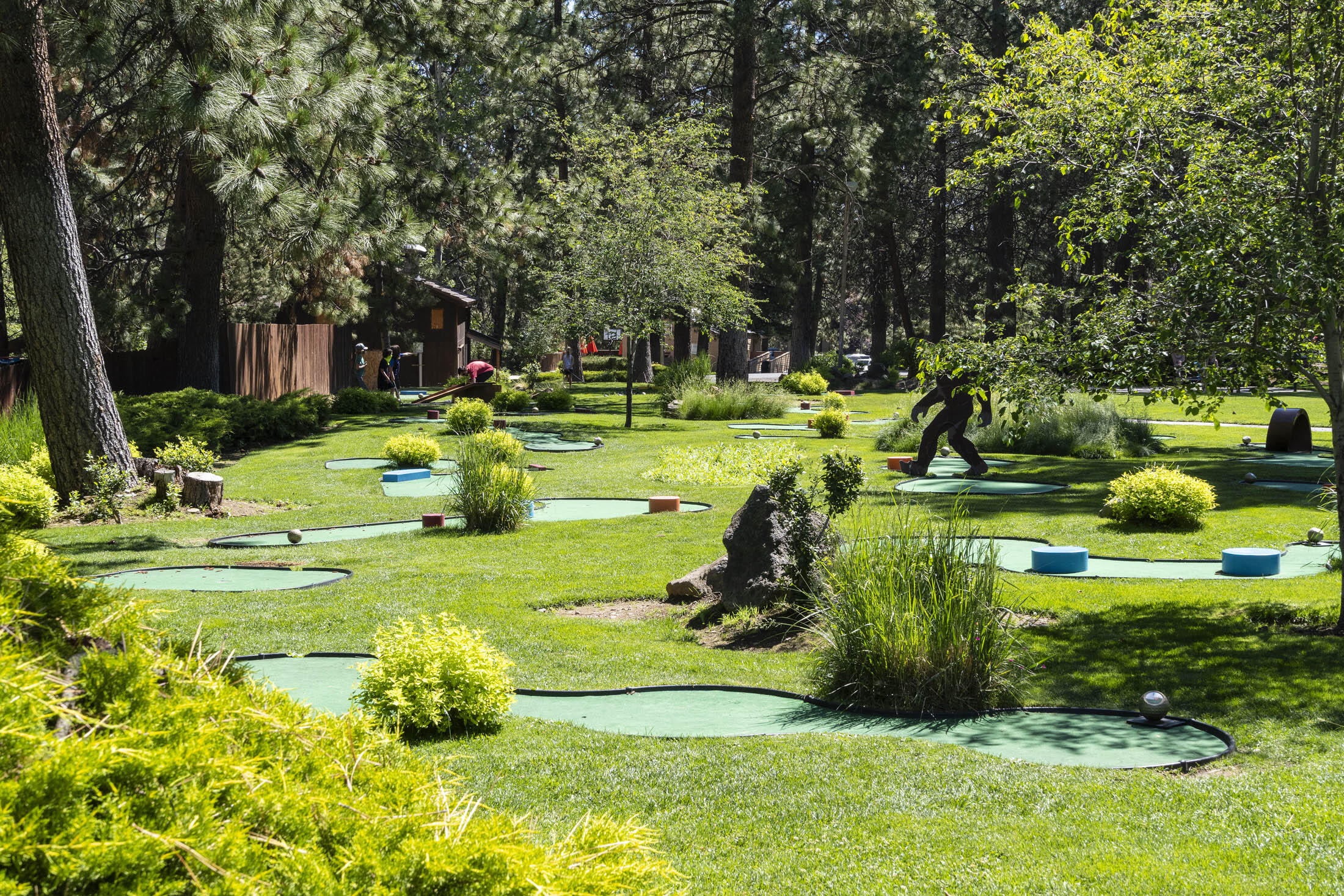 18575 Southwest Century Drive, Unit 2018 Bend, OR 97702 - Photo 32 of 32 a garden with lots of trees