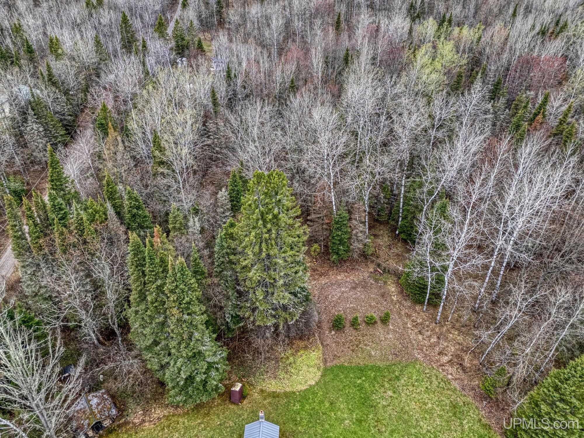 11624 Delbert Drive Long Lake, WI 54542 - Photo 19 of 36